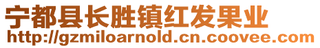 寧都縣長勝鎮(zhèn)紅發(fā)果業(yè)