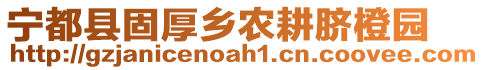 寧都縣固厚鄉(xiāng)農(nóng)耕臍橙園