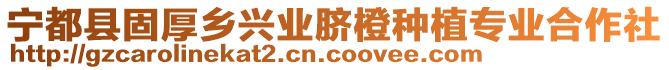 寧都縣固厚鄉(xiāng)興業(yè)臍橙種植專業(yè)合作社