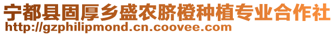 寧都縣固厚鄉(xiāng)盛農(nóng)臍橙種植專業(yè)合作社