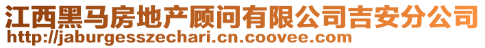 江西黑马房地产顾问有限公司吉安分公司