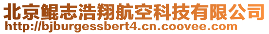 北京鯤志浩翔航空科技有限公司