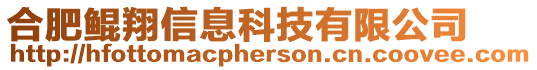 合肥鯤翔信息科技有限公司