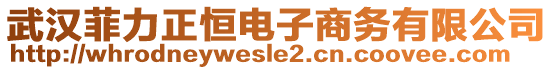 武漢菲力正恒電子商務有限公司