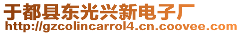 于都縣東光興新電子廠