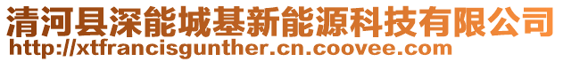 清河縣深能城基新能源科技有限公司