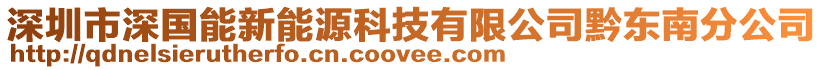 深圳市深国能新能源科技有限公司黔东南分公司