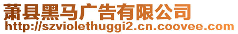 蕭縣黑馬廣告有限公司