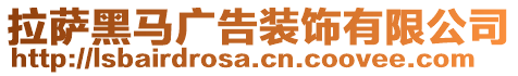 拉薩黑馬廣告裝飾有限公司