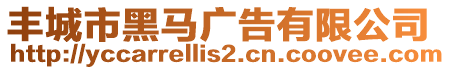 丰城市黑马广告有限公司