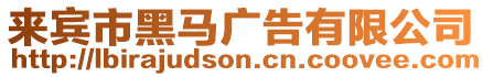 來賓市黑馬廣告有限公司