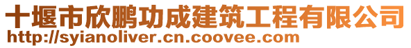 十堰市欣鵬功成建筑工程有限公司