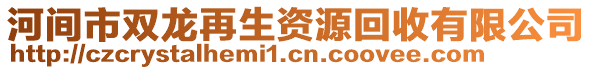 河間市雙龍再生資源回收有限公司