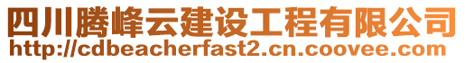 四川騰峰云建設工程有限公司