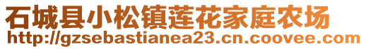 石城县小松镇莲花家庭农场