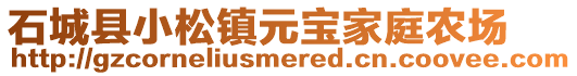 石城縣小松鎮(zhèn)元寶家庭農(nóng)場