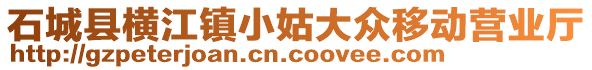 石城縣橫江鎮(zhèn)小姑大眾移動營業(yè)廳