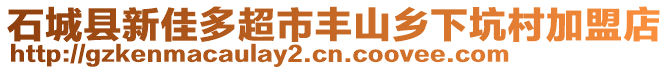 石城縣新佳多超市豐山鄉(xiāng)下坑村加盟店