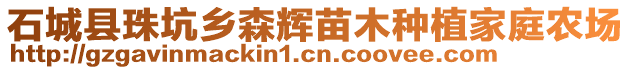 石城縣珠坑鄉(xiāng)森輝苗木種植家庭農(nóng)場