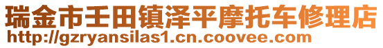 瑞金市壬田鎮(zhèn)澤平摩托車修理店