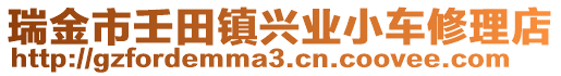 瑞金市壬田鎮(zhèn)興業(yè)小車修理店
