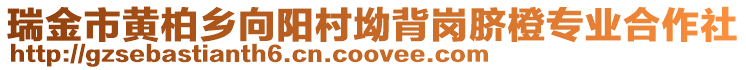 瑞金市黃柏鄉(xiāng)向陽村坳背崗臍橙專業(yè)合作社