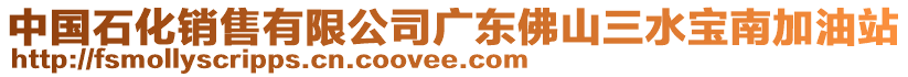 中国石化销售有限公司广东佛山三水宝南加油站