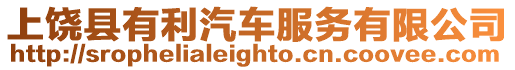 上饒縣有利汽車服務有限公司