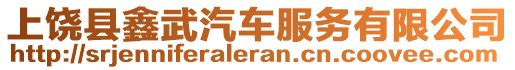 上饒縣鑫武汽車服務有限公司