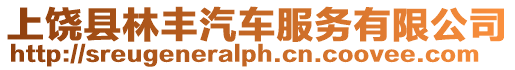 上饒縣林豐汽車服務(wù)有限公司