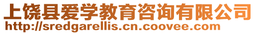上饒縣愛學(xué)教育咨詢有限公司