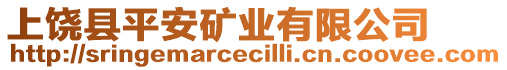 上饒縣平安礦業有限公司