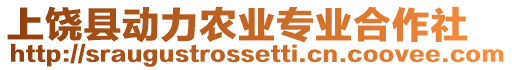 上饒縣動力農業專業合作社