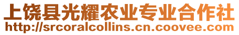 上饒縣光耀農業專業合作社