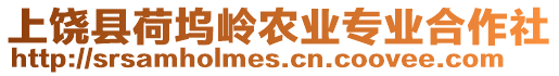 上饒縣荷塢嶺農(nóng)業(yè)專業(yè)合作社