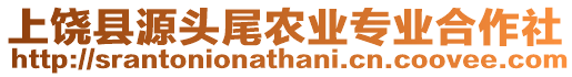 上饒縣源頭尾農業專業合作社