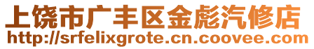 上饒市廣豐區金彪汽修店
