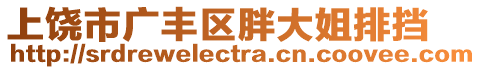 上饒市廣豐區(qū)胖大姐排擋