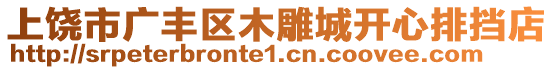 上饒市廣豐區(qū)木雕城開心排擋店