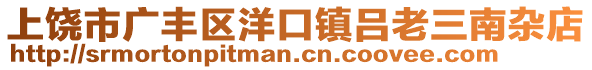 上饒市廣豐區(qū)洋口鎮(zhèn)呂老三南雜店