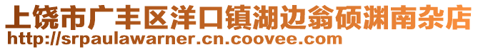 上饒市廣豐區(qū)洋口鎮(zhèn)湖邊翁碩淵南雜店