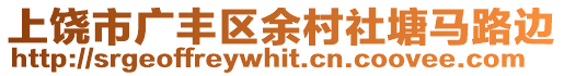 上饒市廣豐區(qū)余村社塘馬路邊