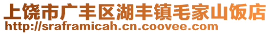 上饒市廣豐區(qū)湖豐鎮(zhèn)毛家山飯店