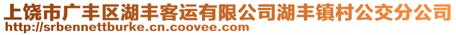 上饒市廣豐區(qū)湖豐客運(yùn)有限公司湖豐鎮(zhèn)村公交分公司