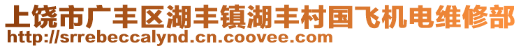 上饒市廣豐區(qū)湖豐鎮(zhèn)湖豐村國飛機(jī)電維修部