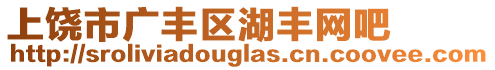 上饒市廣豐區(qū)湖豐網(wǎng)吧