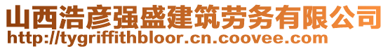 山西浩彥強盛建筑勞務(wù)有限公司