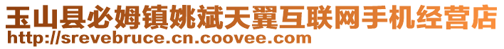 玉山縣必姆鎮(zhèn)姚斌天翼互聯(lián)網(wǎng)手機(jī)經(jīng)營(yíng)店