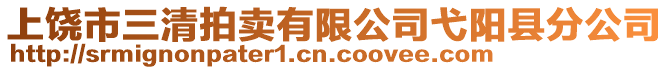 上饒市三清拍賣有限公司弋陽縣分公司