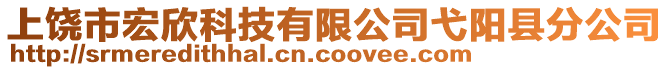 上饒市宏欣科技有限公司弋陽縣分公司